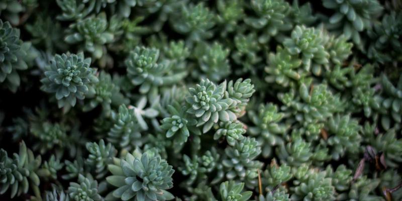 EB平板：工业自动化场景下的坚固之选，重新定义工业触摸屏