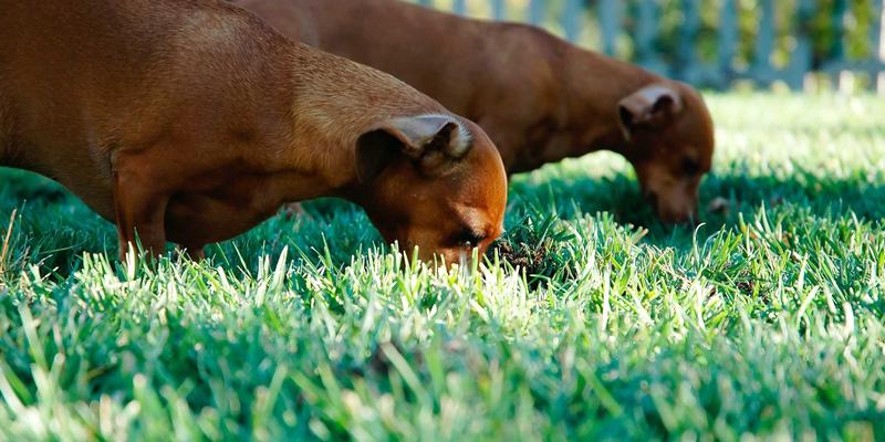 从x86到ARM：工业平板电脑处理器架构选型如何影响能耗与性能？以EB平板为例