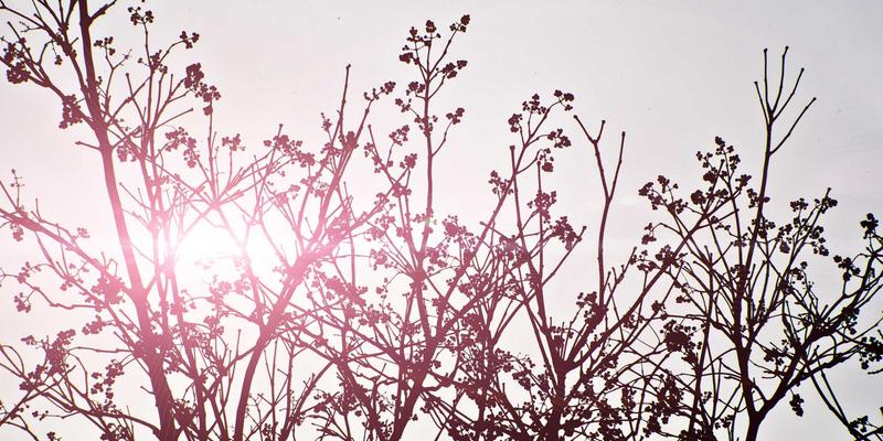 工业平板电脑97：以EB平板为例，解析工业触摸屏与嵌入式解决方案的核心价值