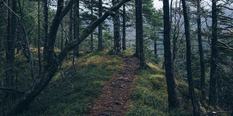 工业平板电脑入门指南:自动化生产中的嵌入式解决方案与触摸屏技术