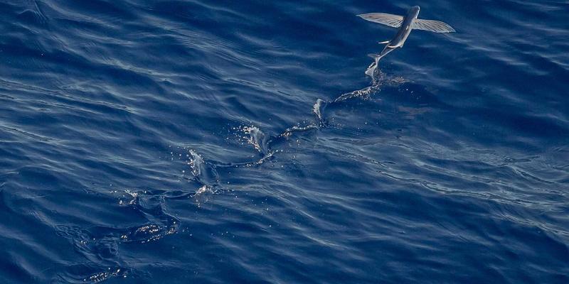 工业平板电脑：智能制造时代的关键交互与嵌入式解决方案