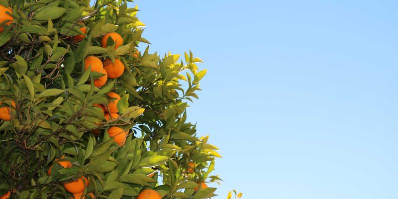 工业平板电脑：驱动工业自动化与嵌入式解决方案的核心交互终端