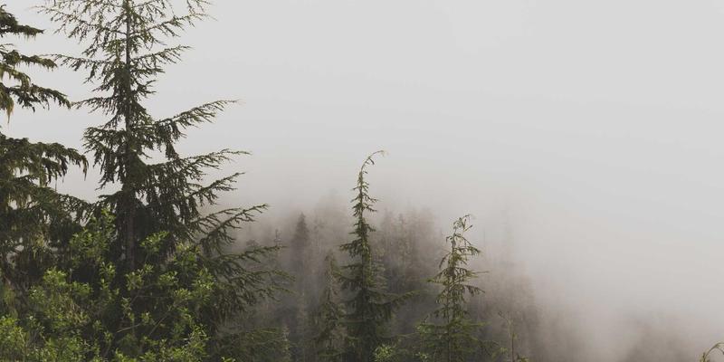 工业平板电脑：驱动工业自动化与智能制造的核心计算平台