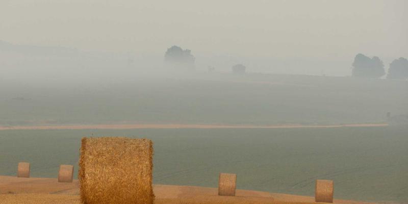 工业触摸屏与自动化在船舶工程中的关键应用：耐盐雾腐蚀与船载导航系统