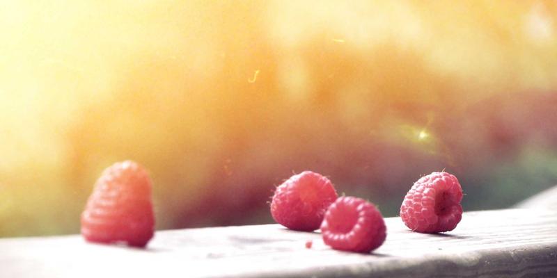 车载环境严苛挑战：EB平板工业触摸屏的抗震防尘核心技术解析